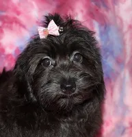 processed/da524858-4a23-4cb9-a676-86aec85860e9/listing/2dcab097-a6c7-46d5-9b52-52b49301579c/21ec03c9-39ba-4b25-8a4e-7b20e4b05e48