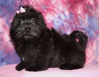 processed/da524858-4a23-4cb9-a676-86aec85860e9/listing/2dcab097-a6c7-46d5-9b52-52b49301579c/47a7f432-9dea-45d9-898a-0e62b3069824