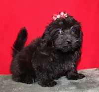 processed/da524858-4a23-4cb9-a676-86aec85860e9/listing/2dcab097-a6c7-46d5-9b52-52b49301579c/4da27471-b811-4192-bbf0-caa2fe1ce191