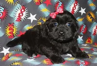 processed/da524858-4a23-4cb9-a676-86aec85860e9/listing/2dcab097-a6c7-46d5-9b52-52b49301579c/9e551ab5-da79-4002-974d-f5358d8588bc