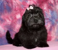 processed/da524858-4a23-4cb9-a676-86aec85860e9/listing/2dcab097-a6c7-46d5-9b52-52b49301579c/a4e2a6b8-1ee3-499f-900f-61fc5c296f4f