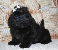 processed/da524858-4a23-4cb9-a676-86aec85860e9/listing/2dcab097-a6c7-46d5-9b52-52b49301579c/bd32db9b-fbf1-402c-ba1f-c50c8fd6590b