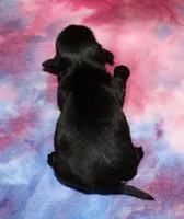 processed/da524858-4a23-4cb9-a676-86aec85860e9/listing/2dcab097-a6c7-46d5-9b52-52b49301579c/cd173439-3e2b-4663-ba0e-a95733114abe