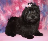 processed/da524858-4a23-4cb9-a676-86aec85860e9/listing/2dcab097-a6c7-46d5-9b52-52b49301579c/fe699c60-6132-47f8-8dee-db97af64687d