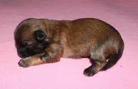 processed/da524858-4a23-4cb9-a676-86aec85860e9/listing/3ff4a7e8-eee9-4f2c-bfbc-5f1f51753a39/450efa20-792a-4826-b413-82e90f767676