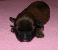 processed/da524858-4a23-4cb9-a676-86aec85860e9/listing/3ff4a7e8-eee9-4f2c-bfbc-5f1f51753a39/aaa9a21a-d2ea-4fc5-a9a8-f67da1aff8ac