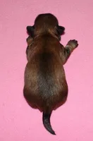 processed/da524858-4a23-4cb9-a676-86aec85860e9/listing/3ff4a7e8-eee9-4f2c-bfbc-5f1f51753a39/dcf3a121-adce-48c1-b733-2c70a95e3b2d