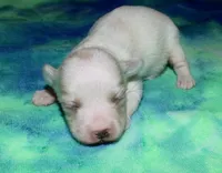 processed/da524858-4a23-4cb9-a676-86aec85860e9/listing/8e3e2a81-a3a0-4dae-a51c-ef9209d51bb7/3958bd29-e3b1-42d8-9f54-681f78f9126b