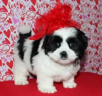 processed/da524858-4a23-4cb9-a676-86aec85860e9/listing/a35df605-8fce-449a-8cc1-2ed7d69802fb/2abec386-77e7-470b-8d38-fddfc798cd54