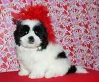 processed/da524858-4a23-4cb9-a676-86aec85860e9/listing/a35df605-8fce-449a-8cc1-2ed7d69802fb/72e9d00f-544a-46bf-a5e2-afa2756d9786