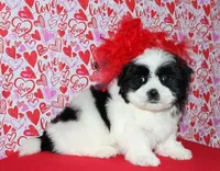 processed/da524858-4a23-4cb9-a676-86aec85860e9/listing/a35df605-8fce-449a-8cc1-2ed7d69802fb/7bc9ff17-0670-4bbc-8865-5fbafcedc5ff