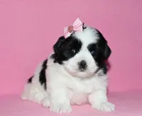 processed/da524858-4a23-4cb9-a676-86aec85860e9/listing/a35df605-8fce-449a-8cc1-2ed7d69802fb/b5d32799-9878-4c90-9c00-28f496bd163e