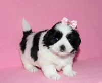 processed/da524858-4a23-4cb9-a676-86aec85860e9/listing/a35df605-8fce-449a-8cc1-2ed7d69802fb/bf6bec56-1e81-4922-a8fb-dd115c99623a