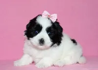 processed/da524858-4a23-4cb9-a676-86aec85860e9/listing/a35df605-8fce-449a-8cc1-2ed7d69802fb/d3b0c8d7-0f8b-4fdb-82d0-be1b2b52cad2