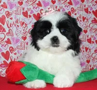 processed/da524858-4a23-4cb9-a676-86aec85860e9/listing/a35df605-8fce-449a-8cc1-2ed7d69802fb/f00545fd-1a9d-4bed-9944-35bebafe4474