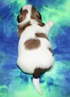 processed/da524858-4a23-4cb9-a676-86aec85860e9/listing/b0c31dcb-742a-4634-b4d3-9d39af71a632/cf24bc95-d9ad-4b50-82e9-73ce39388cc9