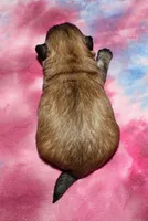 processed/da524858-4a23-4cb9-a676-86aec85860e9/listing/bdd4d539-45f3-4af5-869a-70a217efdde6/211d888b-9c58-4be5-ac52-92a5a5200fd6