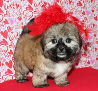 processed/da524858-4a23-4cb9-a676-86aec85860e9/listing/bdd4d539-45f3-4af5-869a-70a217efdde6/2dac5ed7-4257-472c-b1b2-fbddd36ff319