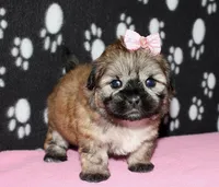 processed/da524858-4a23-4cb9-a676-86aec85860e9/listing/bdd4d539-45f3-4af5-869a-70a217efdde6/408e5f0d-4c07-45c9-8494-41910e86f056