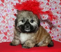 processed/da524858-4a23-4cb9-a676-86aec85860e9/listing/bdd4d539-45f3-4af5-869a-70a217efdde6/8be1b18b-6669-4c8b-bfe6-74180cfe2092