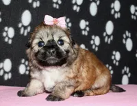 processed/da524858-4a23-4cb9-a676-86aec85860e9/listing/bdd4d539-45f3-4af5-869a-70a217efdde6/be5abb30-2b2d-40a9-864d-e79ef8bb5434