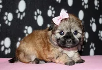 processed/da524858-4a23-4cb9-a676-86aec85860e9/listing/bdd4d539-45f3-4af5-869a-70a217efdde6/df61ced2-632d-41a1-89e6-f622ca830700