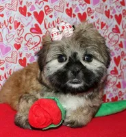 processed/da524858-4a23-4cb9-a676-86aec85860e9/listing/bdd4d539-45f3-4af5-869a-70a217efdde6/edaf6325-b58c-42e4-a43e-7591de7b00b8