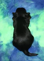 processed/da524858-4a23-4cb9-a676-86aec85860e9/listing/be0029fb-6c9e-4936-a3e5-42bb7575576b/376e4c05-1a8e-4bce-838f-3d853eedff90