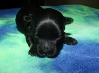 processed/da524858-4a23-4cb9-a676-86aec85860e9/listing/ce692fe9-d2d4-4eeb-8e92-1a2b30c6c8de/095a703f-7ca2-417a-8635-0c7bdc3aa992