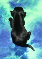 processed/da524858-4a23-4cb9-a676-86aec85860e9/listing/ce692fe9-d2d4-4eeb-8e92-1a2b30c6c8de/140dbac0-1457-43d2-81b0-720b7f630e92