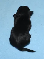 processed/da524858-4a23-4cb9-a676-86aec85860e9/listing/ce692fe9-d2d4-4eeb-8e92-1a2b30c6c8de/5540c295-4c2c-44f2-9957-b8678c0e8f6f