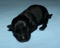 processed/da524858-4a23-4cb9-a676-86aec85860e9/listing/ce692fe9-d2d4-4eeb-8e92-1a2b30c6c8de/f2e1550b-1a88-4712-8a9b-cbccdc99b555