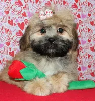 processed/da524858-4a23-4cb9-a676-86aec85860e9/listing/d0e5046e-93bd-4302-a178-73881a048ee5/105c372d-c1ff-4543-b72f-56c0ce6a5b99