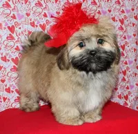 processed/da524858-4a23-4cb9-a676-86aec85860e9/listing/d0e5046e-93bd-4302-a178-73881a048ee5/30b6db71-5382-4cef-8814-8aa3891cc1de