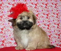 processed/da524858-4a23-4cb9-a676-86aec85860e9/listing/d0e5046e-93bd-4302-a178-73881a048ee5/41537ab0-3331-4957-a0e4-c842a77a741f