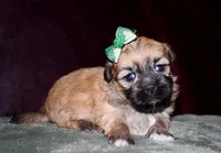 processed/da524858-4a23-4cb9-a676-86aec85860e9/listing/d0e5046e-93bd-4302-a178-73881a048ee5/8ed70ed1-9dfe-488f-a95b-62d24ee049c4