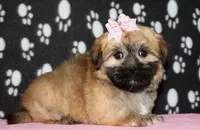 processed/da524858-4a23-4cb9-a676-86aec85860e9/listing/d0e5046e-93bd-4302-a178-73881a048ee5/a8a8aead-4c66-43bf-b8af-2854e7a1f8c0