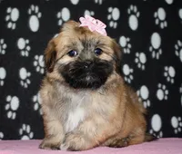 processed/da524858-4a23-4cb9-a676-86aec85860e9/listing/d0e5046e-93bd-4302-a178-73881a048ee5/aeb15948-2c10-486b-91a3-699f5102be06