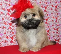 processed/da524858-4a23-4cb9-a676-86aec85860e9/listing/d0e5046e-93bd-4302-a178-73881a048ee5/b9226441-6d81-42a6-b514-a325ebfc1a90