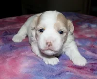 processed/da524858-4a23-4cb9-a676-86aec85860e9/listing/d254a374-f7aa-4d72-8c2c-05f7a36746b9/1745411a-43ea-42c4-88c9-893c5250e204