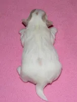 processed/da524858-4a23-4cb9-a676-86aec85860e9/listing/d254a374-f7aa-4d72-8c2c-05f7a36746b9/5aaaea7e-a9da-408e-8db2-f18c8a795daa