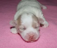 processed/da524858-4a23-4cb9-a676-86aec85860e9/listing/d254a374-f7aa-4d72-8c2c-05f7a36746b9/dfa5fbcb-915c-417f-bfcb-56c24f705e6e