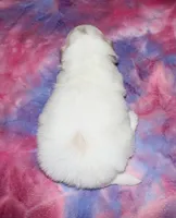 processed/da524858-4a23-4cb9-a676-86aec85860e9/listing/d254a374-f7aa-4d72-8c2c-05f7a36746b9/e9d3c07f-2dfa-4a30-8a51-416f0ad5235b