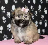 processed/da524858-4a23-4cb9-a676-86aec85860e9/listing/d418ed8b-717b-4f40-a8e6-947d4fbebf03/08c52c69-863b-4a65-9de8-eb446e0b382f