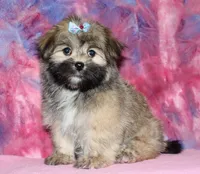 processed/da524858-4a23-4cb9-a676-86aec85860e9/listing/d418ed8b-717b-4f40-a8e6-947d4fbebf03/1d14d2e3-f529-4a62-8720-f272a4409a83