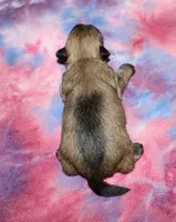 processed/da524858-4a23-4cb9-a676-86aec85860e9/listing/d418ed8b-717b-4f40-a8e6-947d4fbebf03/25d5729e-08c4-464e-a82a-3cfa1c2308c3