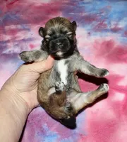 processed/da524858-4a23-4cb9-a676-86aec85860e9/listing/d418ed8b-717b-4f40-a8e6-947d4fbebf03/2afe51c7-2351-4d66-8785-d8c3c5261e3c