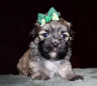 processed/da524858-4a23-4cb9-a676-86aec85860e9/listing/d418ed8b-717b-4f40-a8e6-947d4fbebf03/5cebd722-f881-4f8d-b510-2cf358a4311e