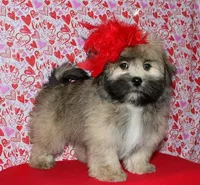 processed/da524858-4a23-4cb9-a676-86aec85860e9/listing/d418ed8b-717b-4f40-a8e6-947d4fbebf03/663736f8-0b85-4f83-bfde-7ded219d8458