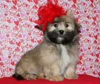 processed/da524858-4a23-4cb9-a676-86aec85860e9/listing/d418ed8b-717b-4f40-a8e6-947d4fbebf03/c84a2529-8f38-4eeb-b586-205d0433adfe